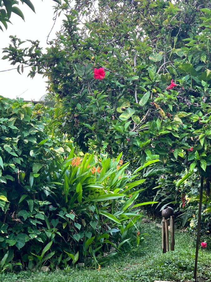 Jamaica Colors Hotel And Eco-Retreat Порт Антонио Екстериор снимка