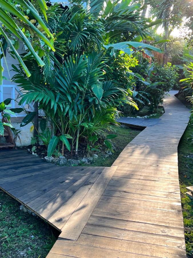 Jamaica Colors Hotel And Eco-Retreat Порт Антонио Екстериор снимка