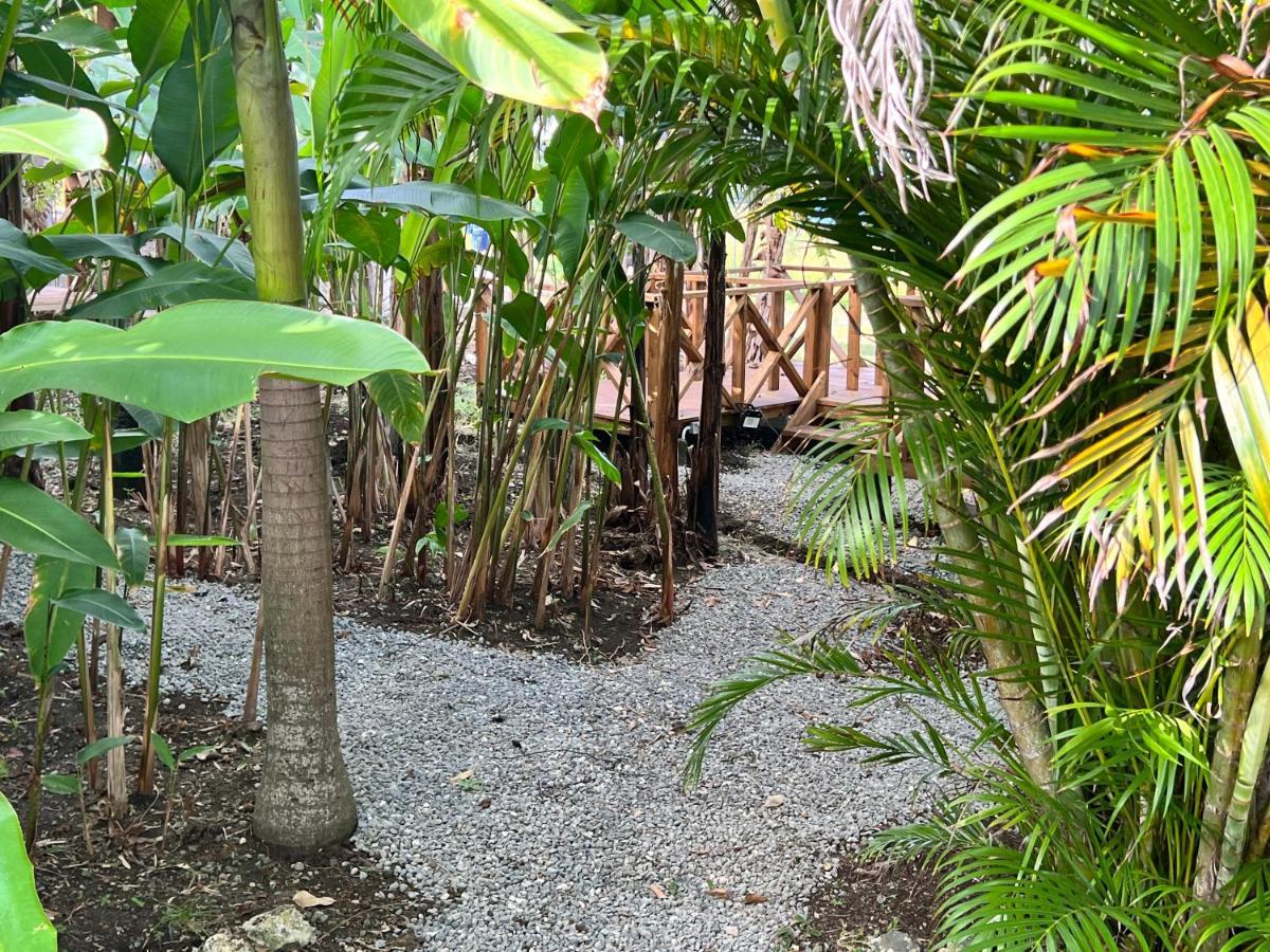 Jamaica Colors Hotel And Eco-Retreat Порт Антонио Екстериор снимка