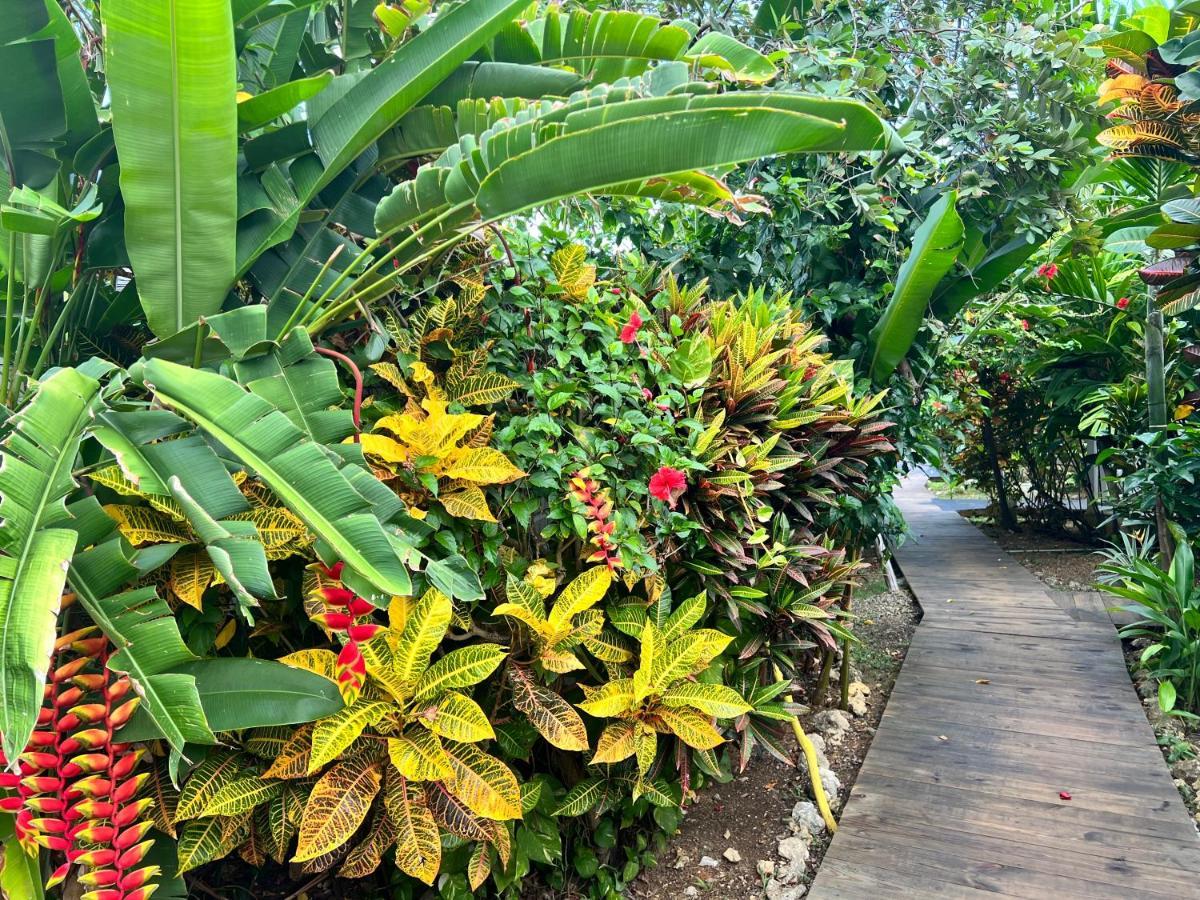 Jamaica Colors Hotel And Eco-Retreat Порт Антонио Екстериор снимка