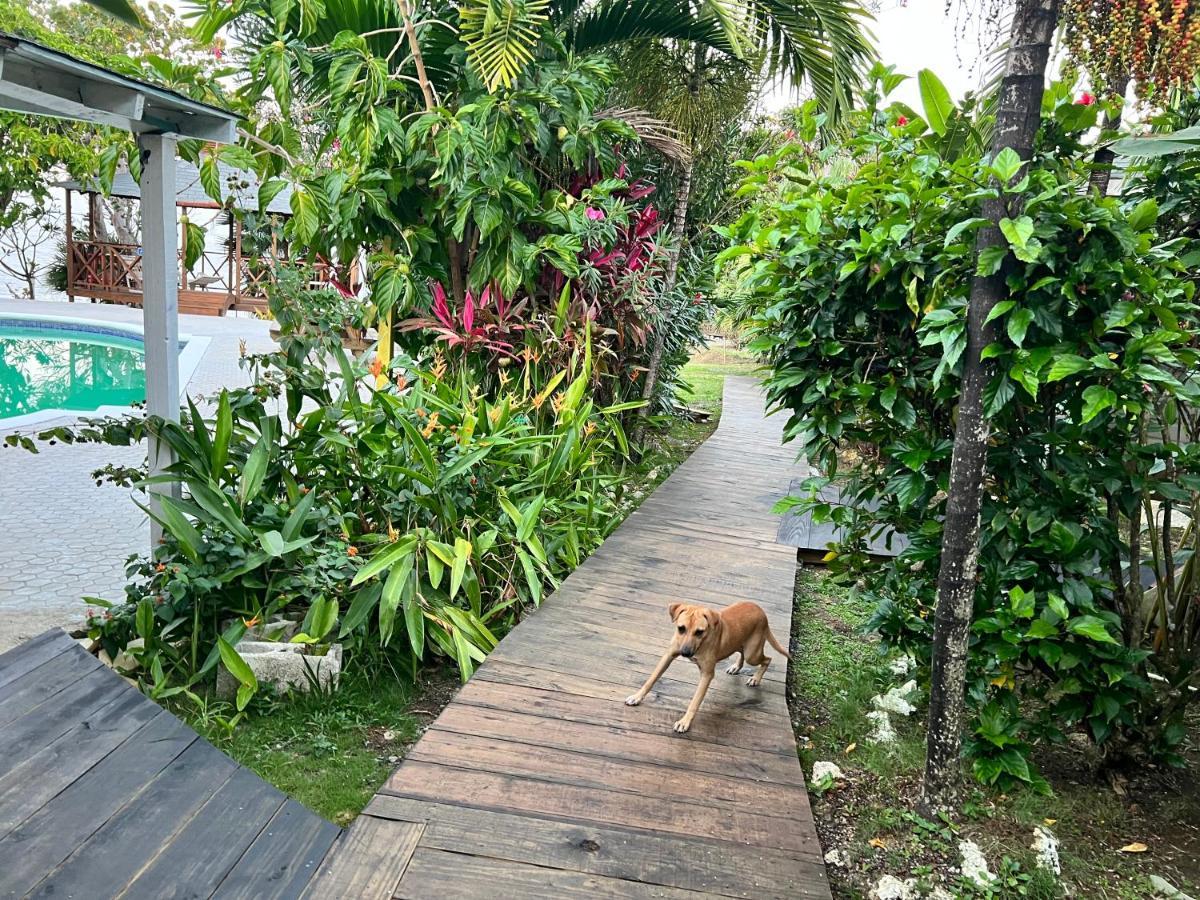 Jamaica Colors Hotel And Eco-Retreat Порт Антонио Екстериор снимка