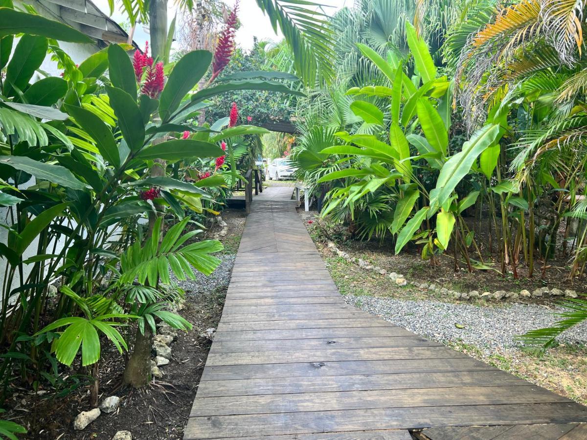 Jamaica Colors Hotel And Eco-Retreat Порт Антонио Екстериор снимка