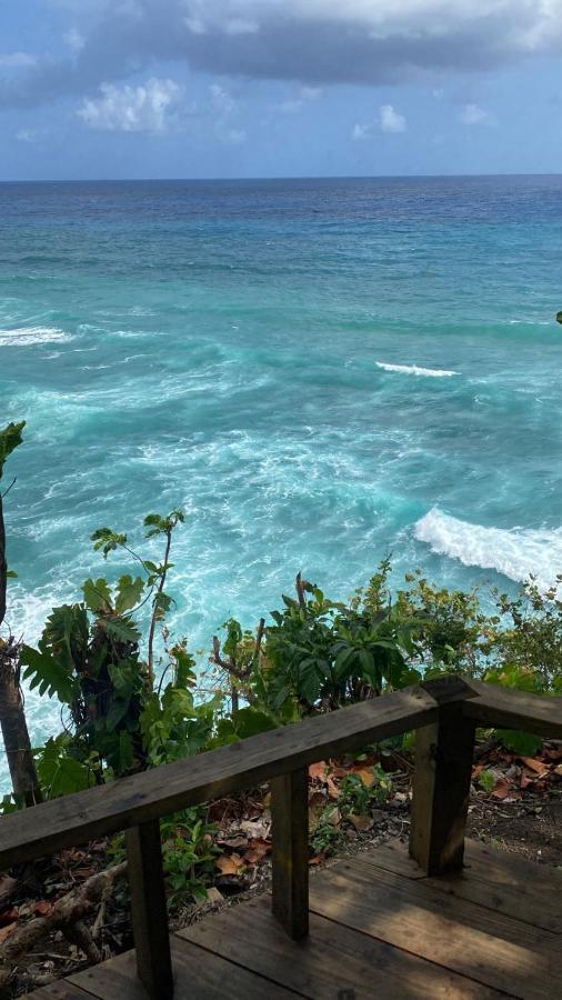 Jamaica Colors Hotel And Eco-Retreat Порт Антонио Екстериор снимка
