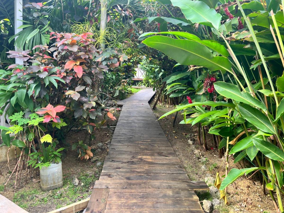 Jamaica Colors Hotel And Eco-Retreat Порт Антонио Екстериор снимка