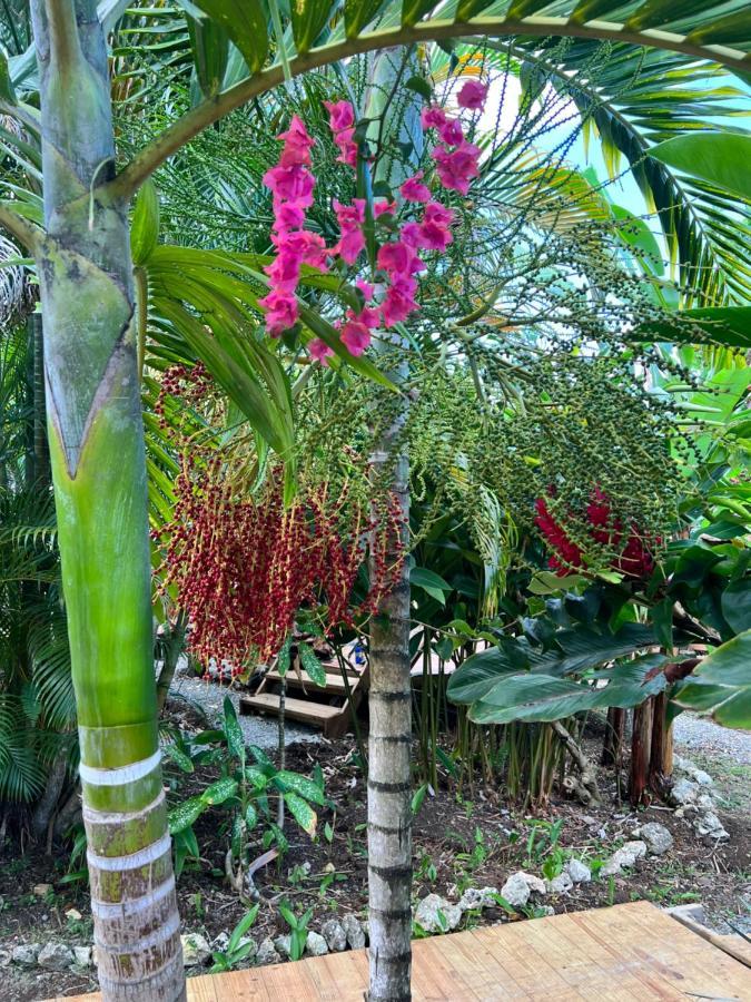 Jamaica Colors Hotel And Eco-Retreat Порт Антонио Екстериор снимка