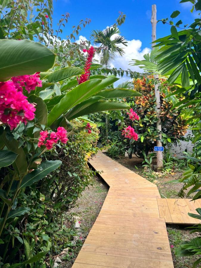 Jamaica Colors Hotel And Eco-Retreat Порт Антонио Екстериор снимка